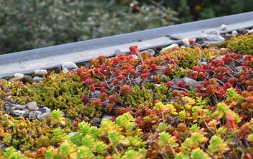 the cost of Monkton Up Wimborne green roof installation
