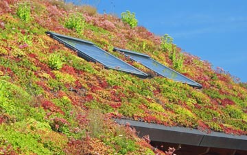 Monkton Up Wimborne living roof systems