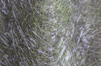 Monkton Up Wimborne fibreglass roof work